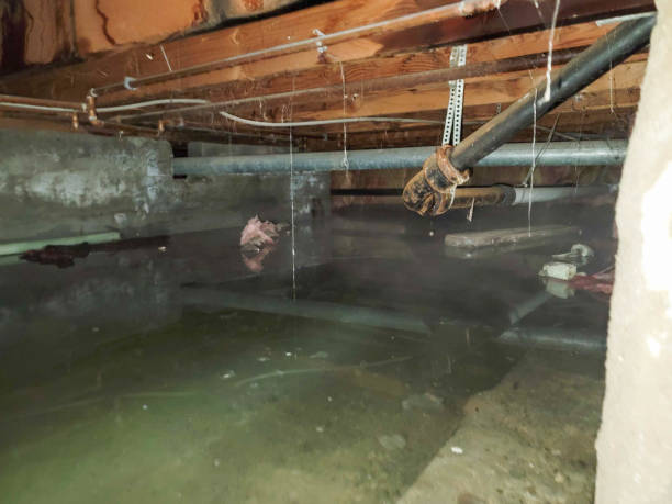Best 24/7 water damage repair  in Cheltenham Village, PA