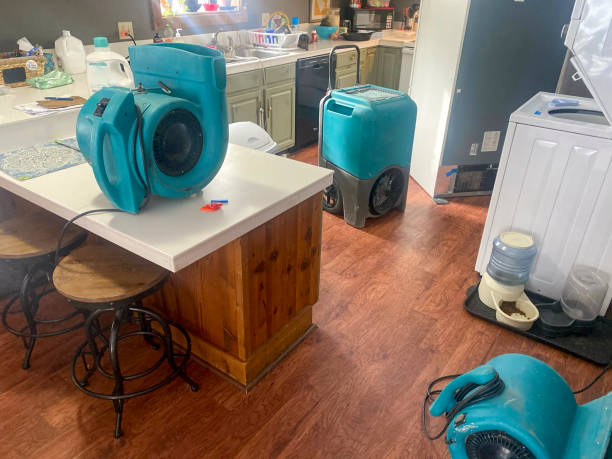 Best Ceiling water damage repair  in Cheltenham Village, PA