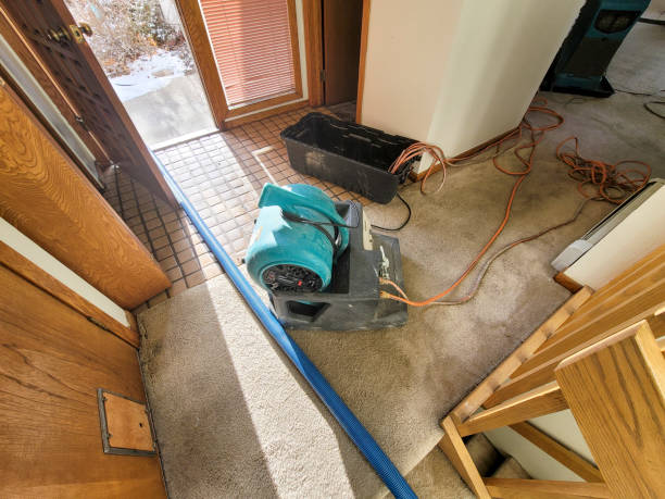 Best Residential water damage restoration  in Cheltenham Village, PA