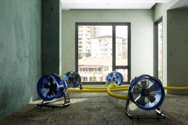 Best 24-hour water damage restoration  in Cheltenham Village, PA